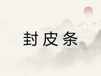 封皮条