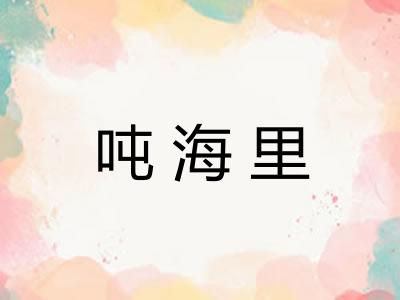 吨海里 吨海里