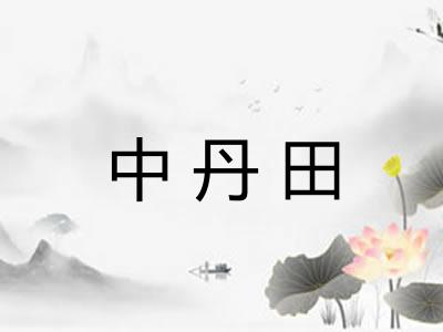 中丹田