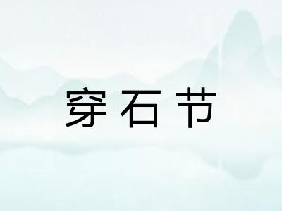 穿石节
