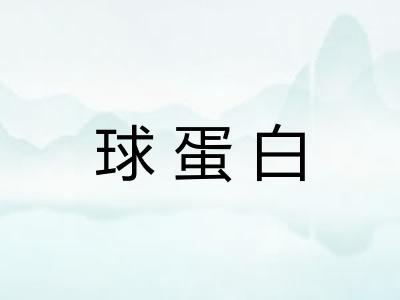 球蛋白 球蛋白
