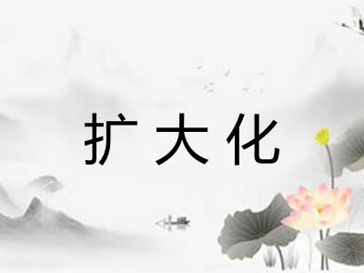 扩大化 扩大化