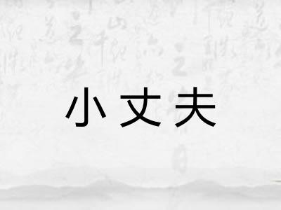 小丈夫 小丈夫