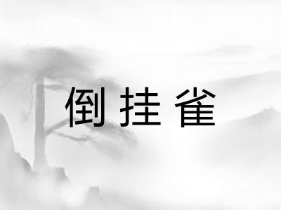倒挂雀 倒挂雀