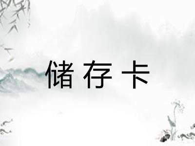 储存卡