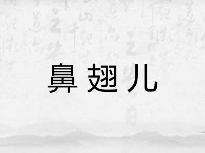 鼻翅儿