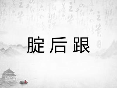 腚后跟 腚后跟