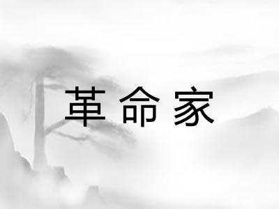 革命家 革命家