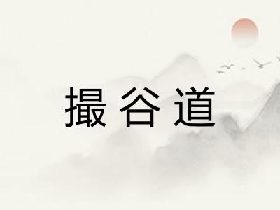 撮谷道 撮谷道