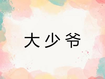大少爷 大少爷