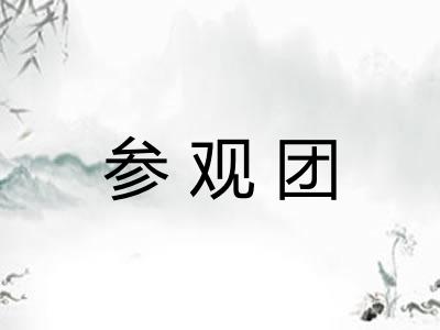 参观团 参观团