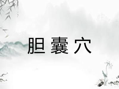 胆囊穴 胆囊穴