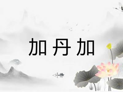 加丹加 加丹加