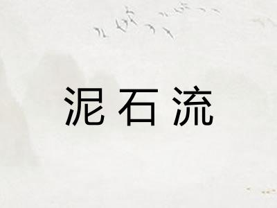 泥石流 泥石流