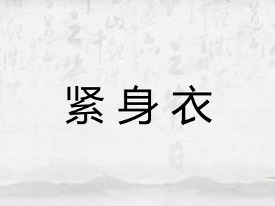 紧身衣 紧身衣