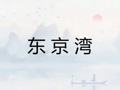 东京湾 东京湾