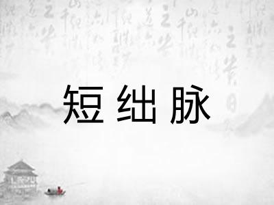 短绌脉 短绌脉