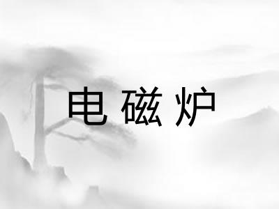 电磁炉 电磁炉