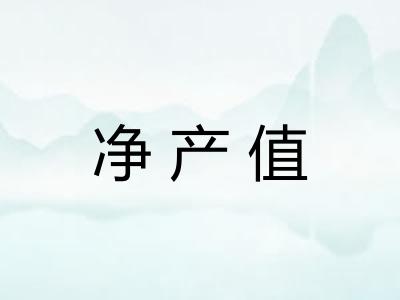 净产值 净产值