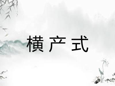 横产式 横产式