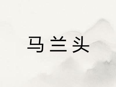 马兰头 马兰头