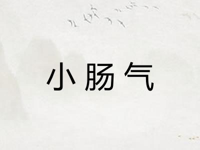 小肠气