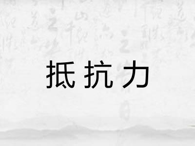 抵抗力 抵抗力