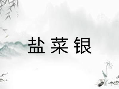 盐菜银
