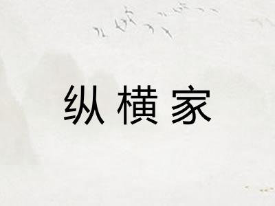 纵横家 纵横家