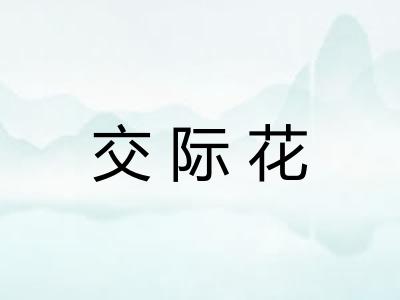 交际花 交际花