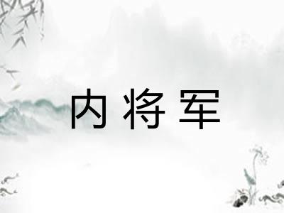 内将军 内将军