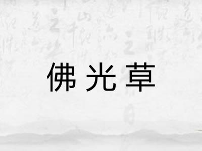 佛光草