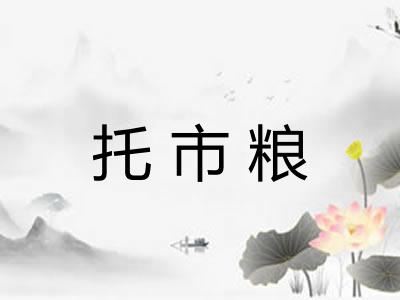 托市粮 托市粮