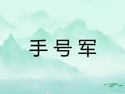 手号军
