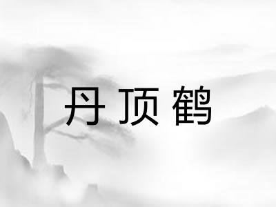 丹顶鹤