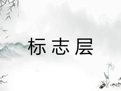 标志层