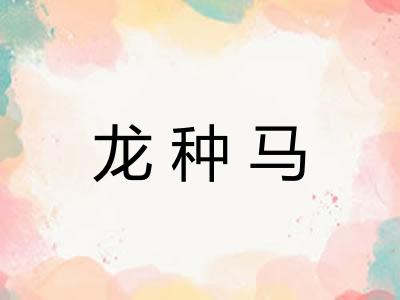 龙种马