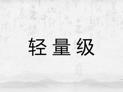 轻量级 轻量级