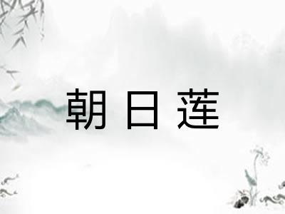 朝日莲 朝日莲