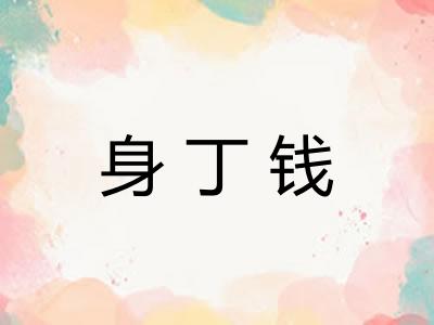 身丁钱 身丁钱