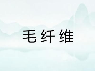 毛纤维 毛纤维