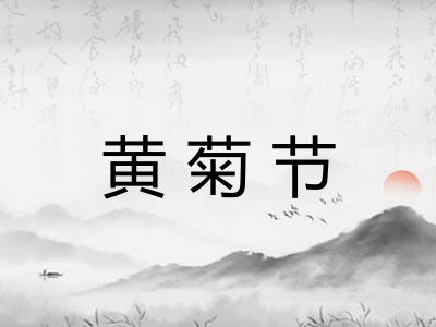 黄菊节 黄菊节