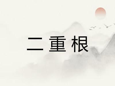 二重根 二重根