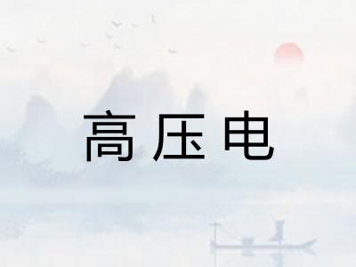 高压电 高压电