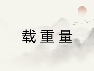载重量