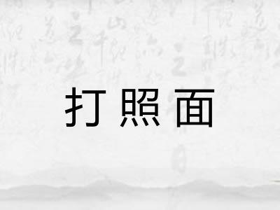 打照面 打照面