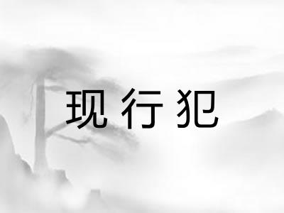 现行犯 现行犯