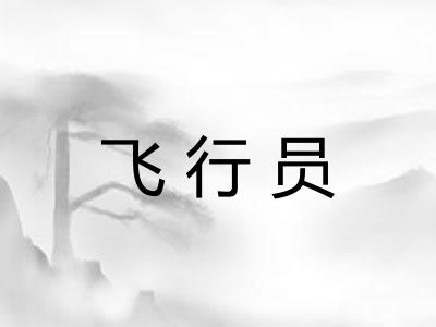 飞行员 飞行员
