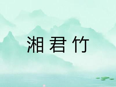 湘君竹 湘君竹