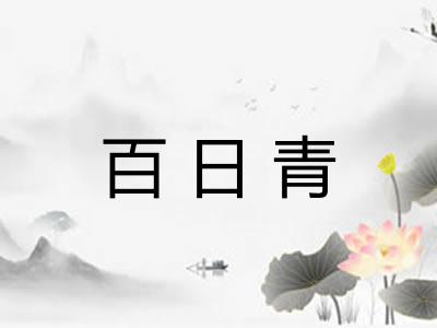 百日青 百日青